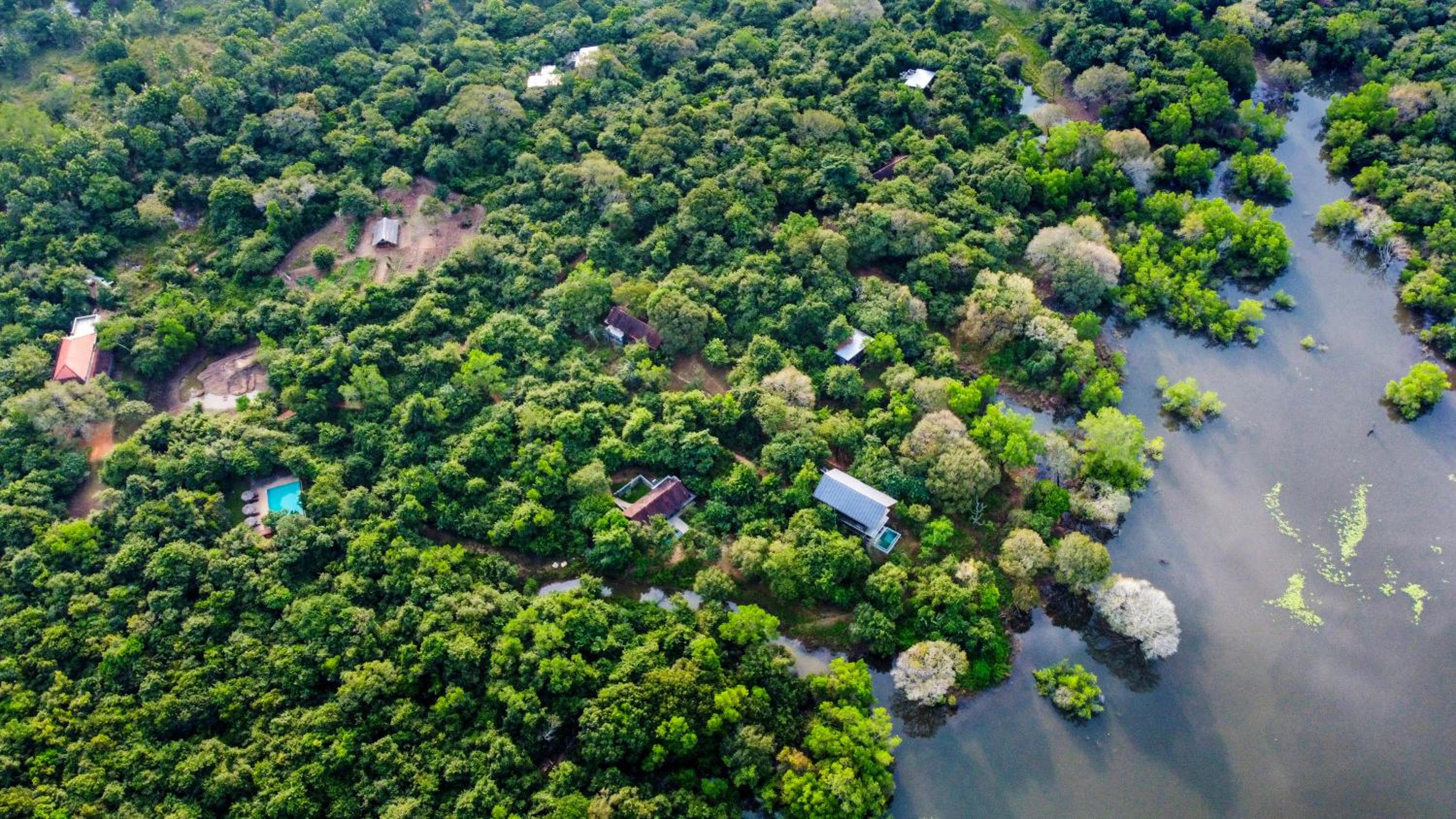 Wild Grass Nature Resort, Sigiriya - 15