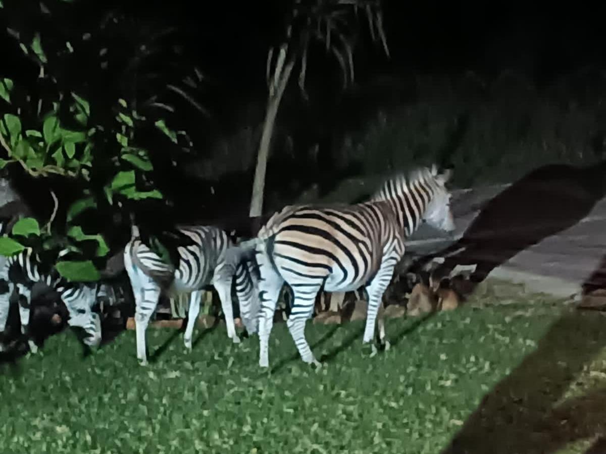 Khululeka Safaris Lodge