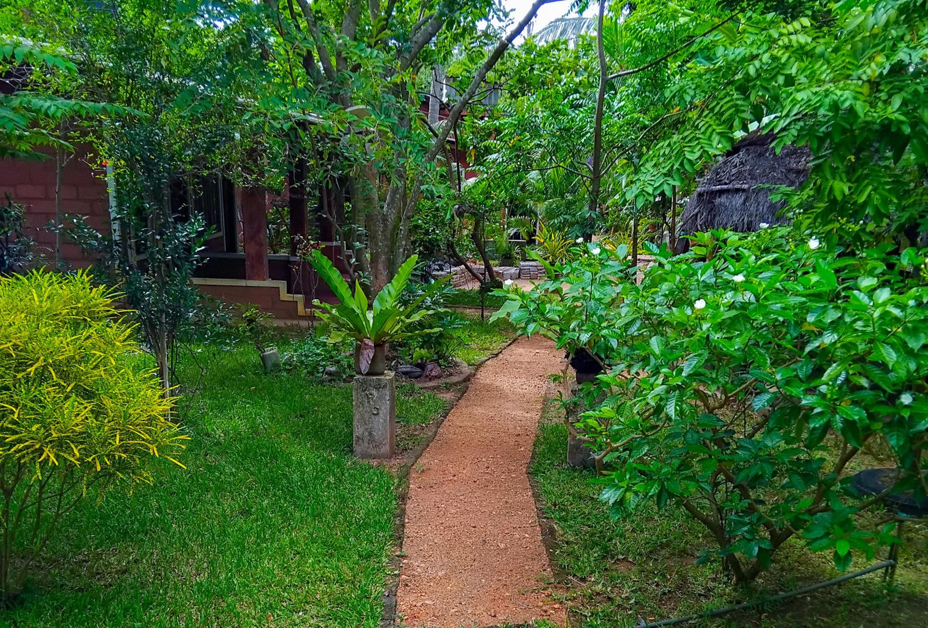 Sigiri Mount Villa & Restaurant view 3