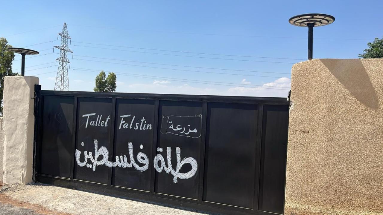 Tallet falastin