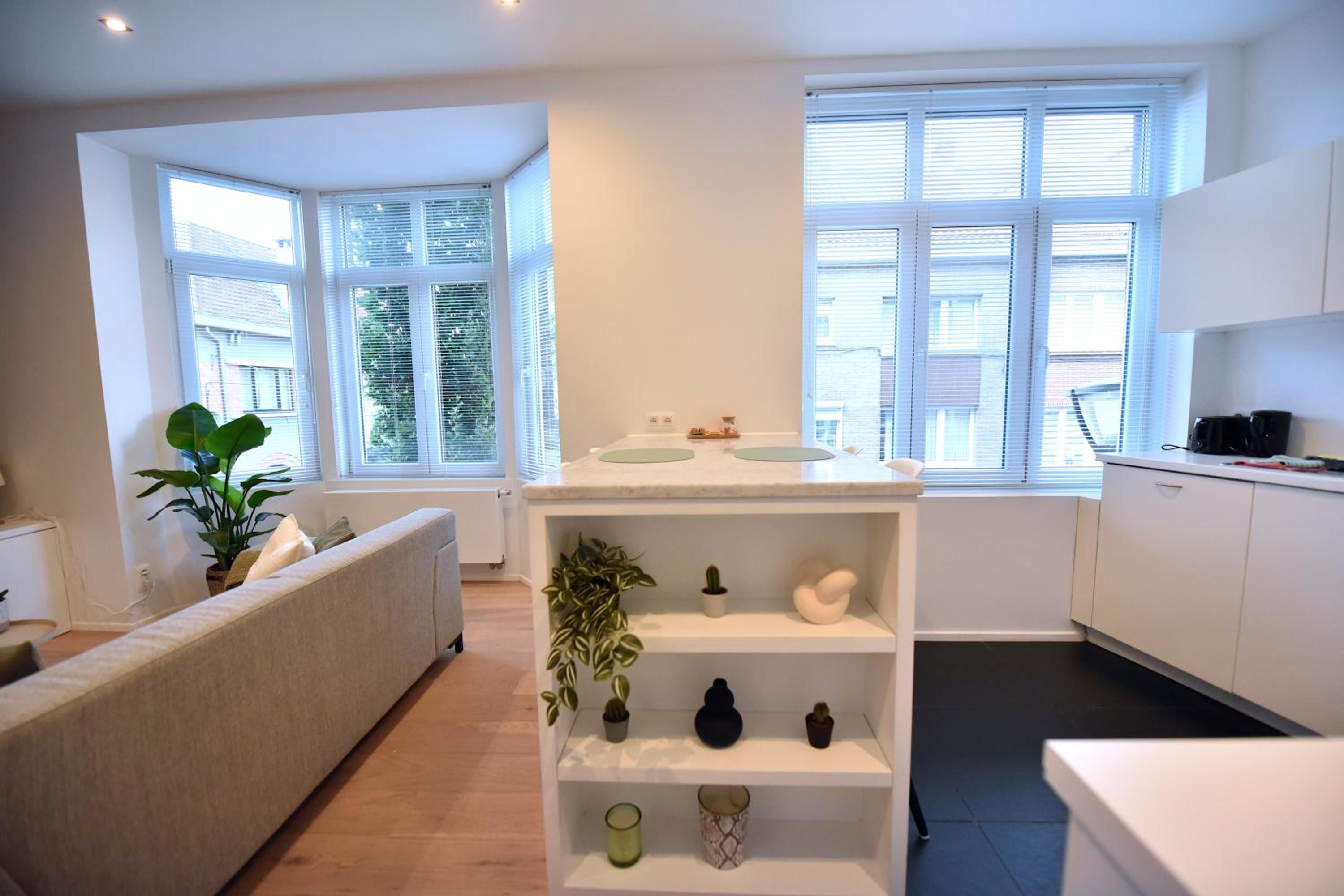 Cosy apartment in Brussels