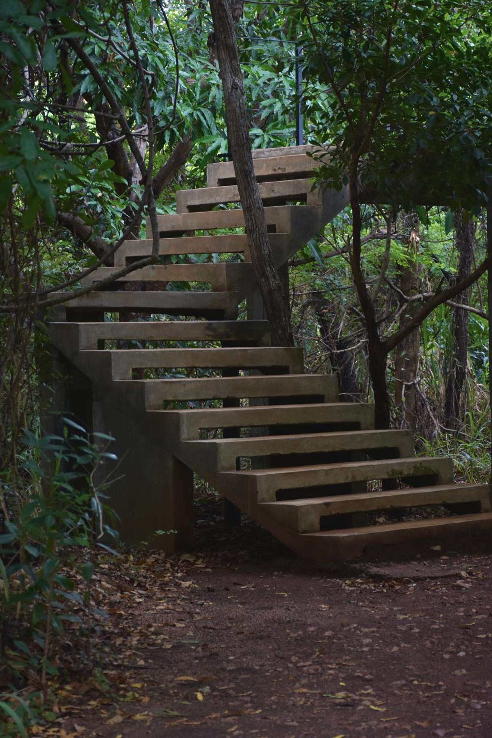 Wild Grass Nature Resort, Sigiriya - 21