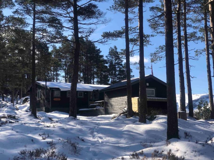 Koselig enkel hytte i fjellet view 5