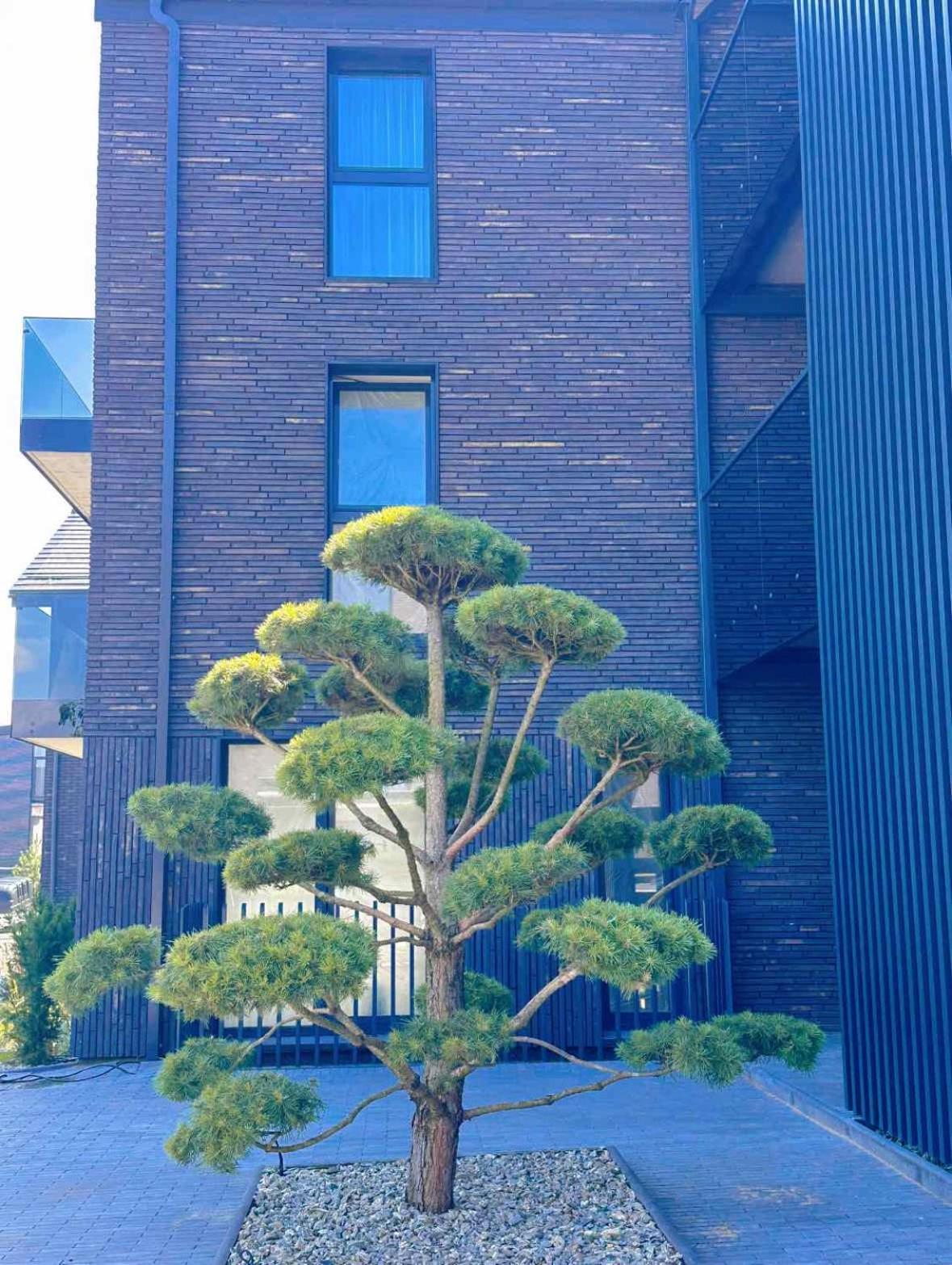LEX apartments