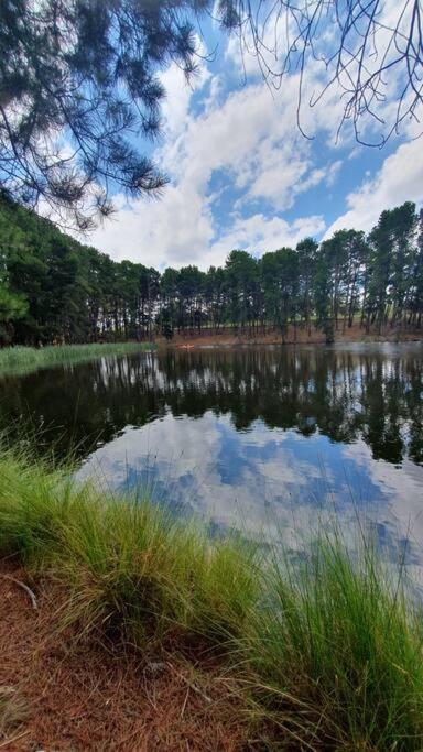 Yass Farm Stay, photo 12