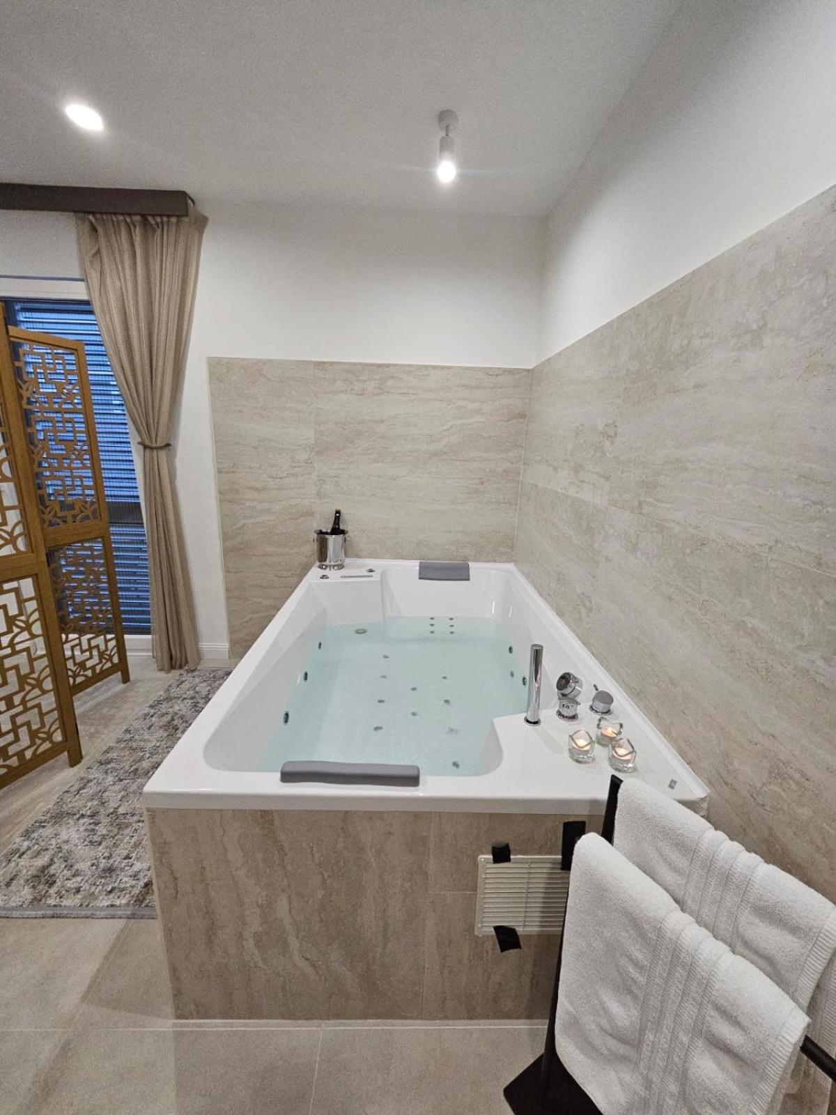 Luxury Apartment Ane