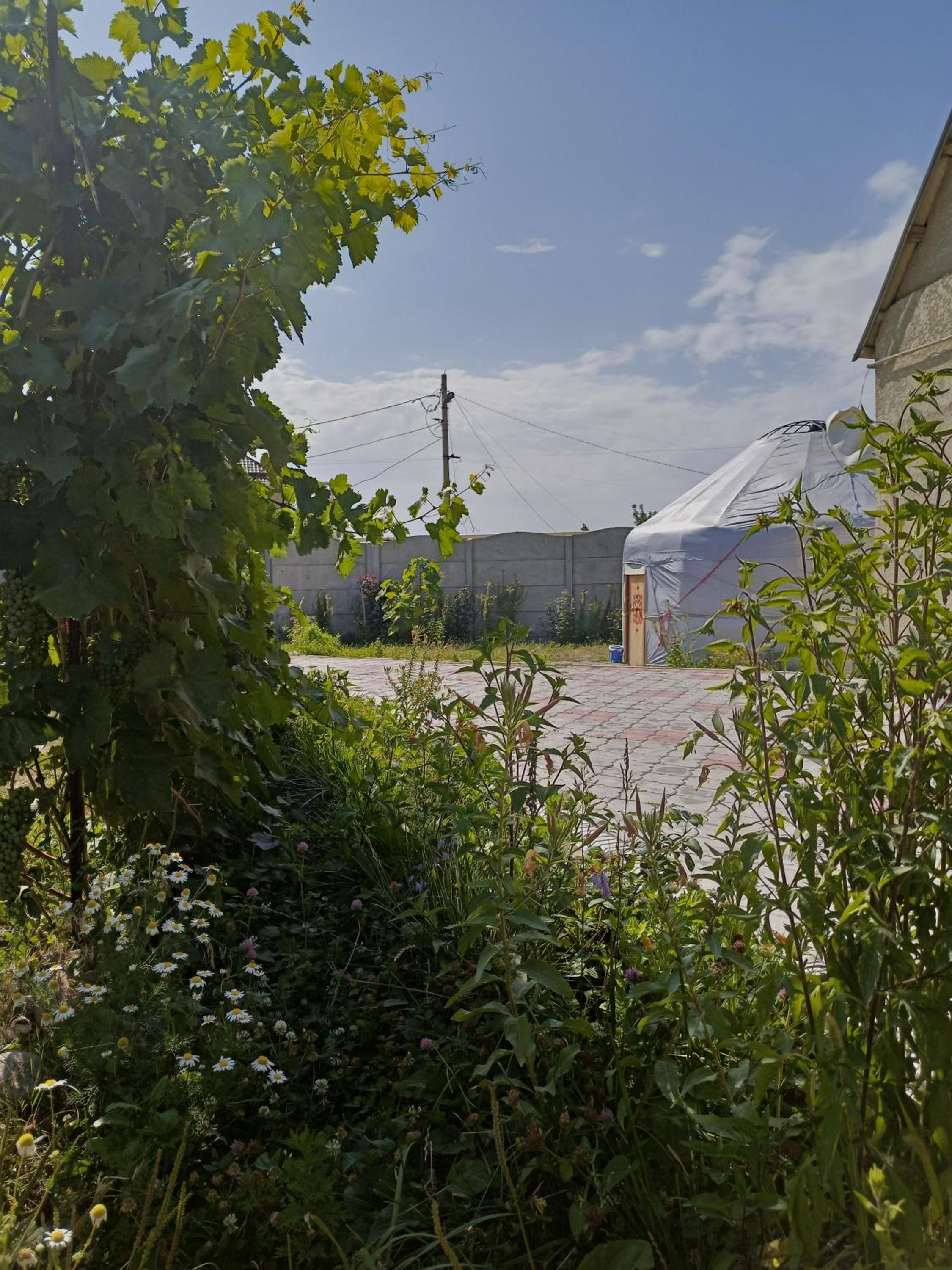 Photo 14
