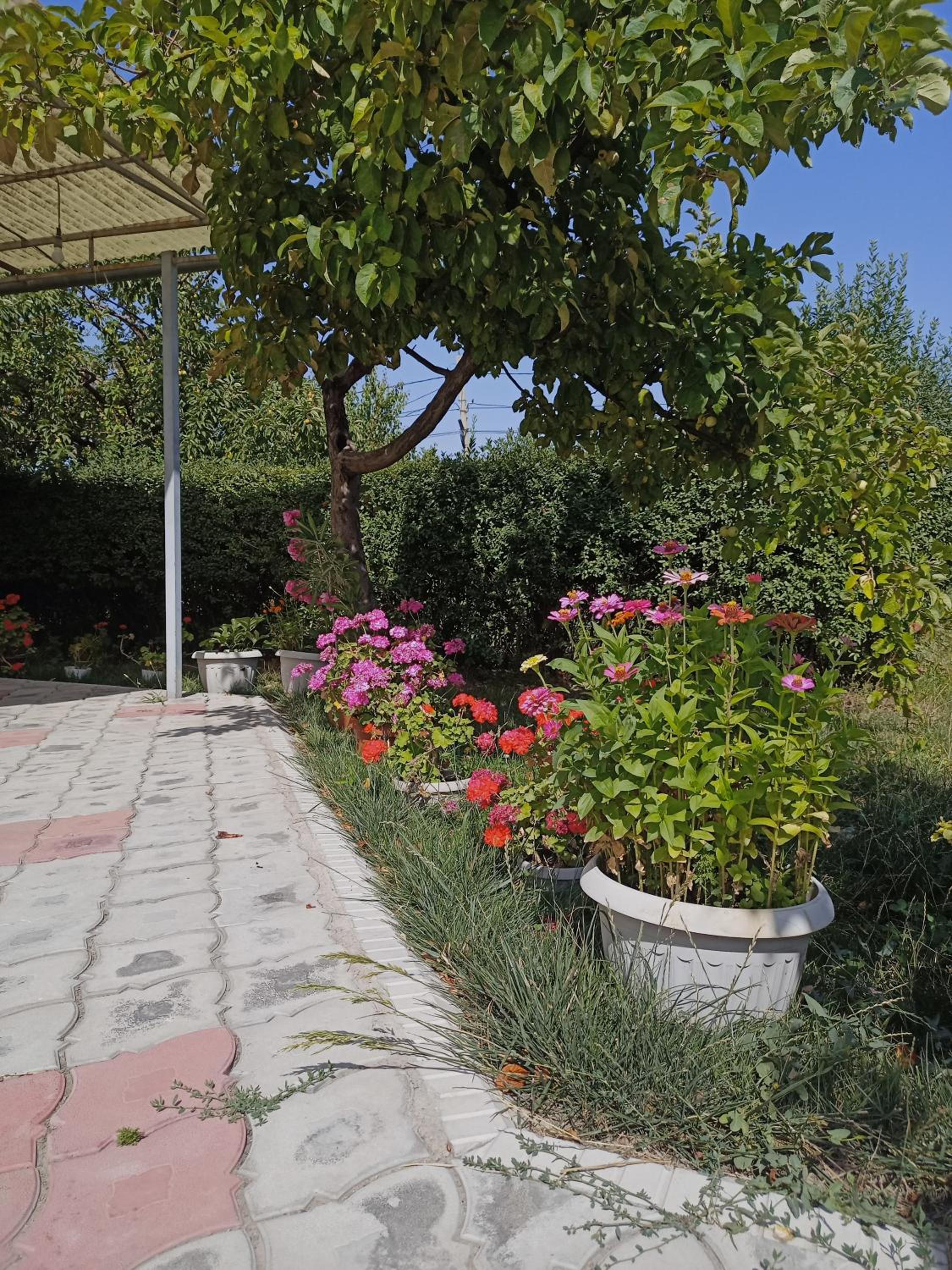 Photo 22