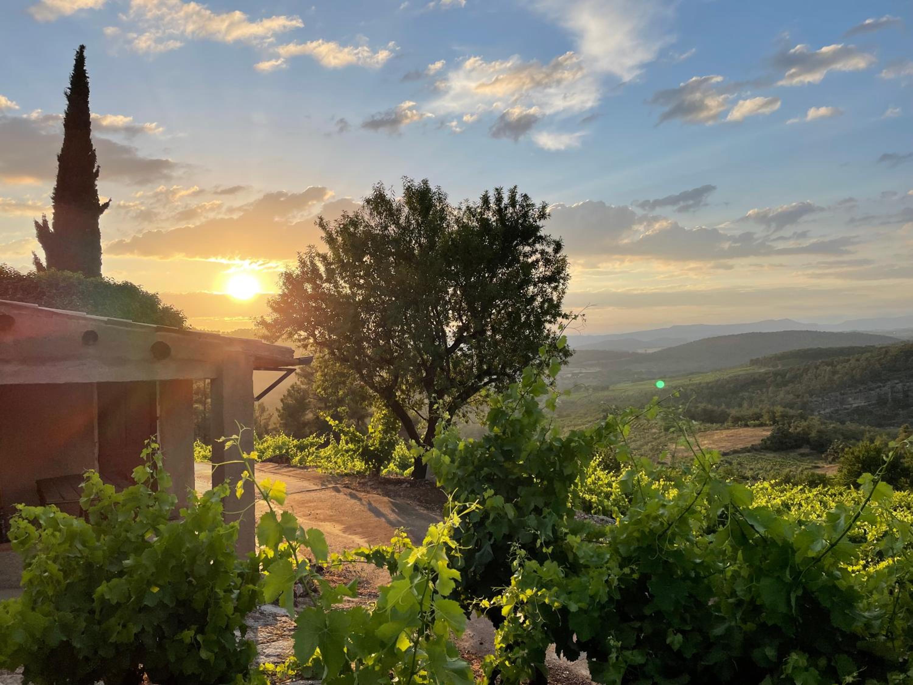 Ático con terraza en Capçanes photo 3