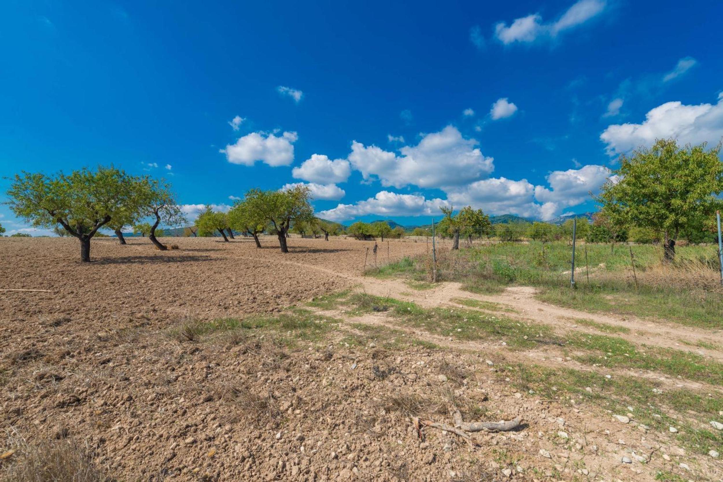 Granja