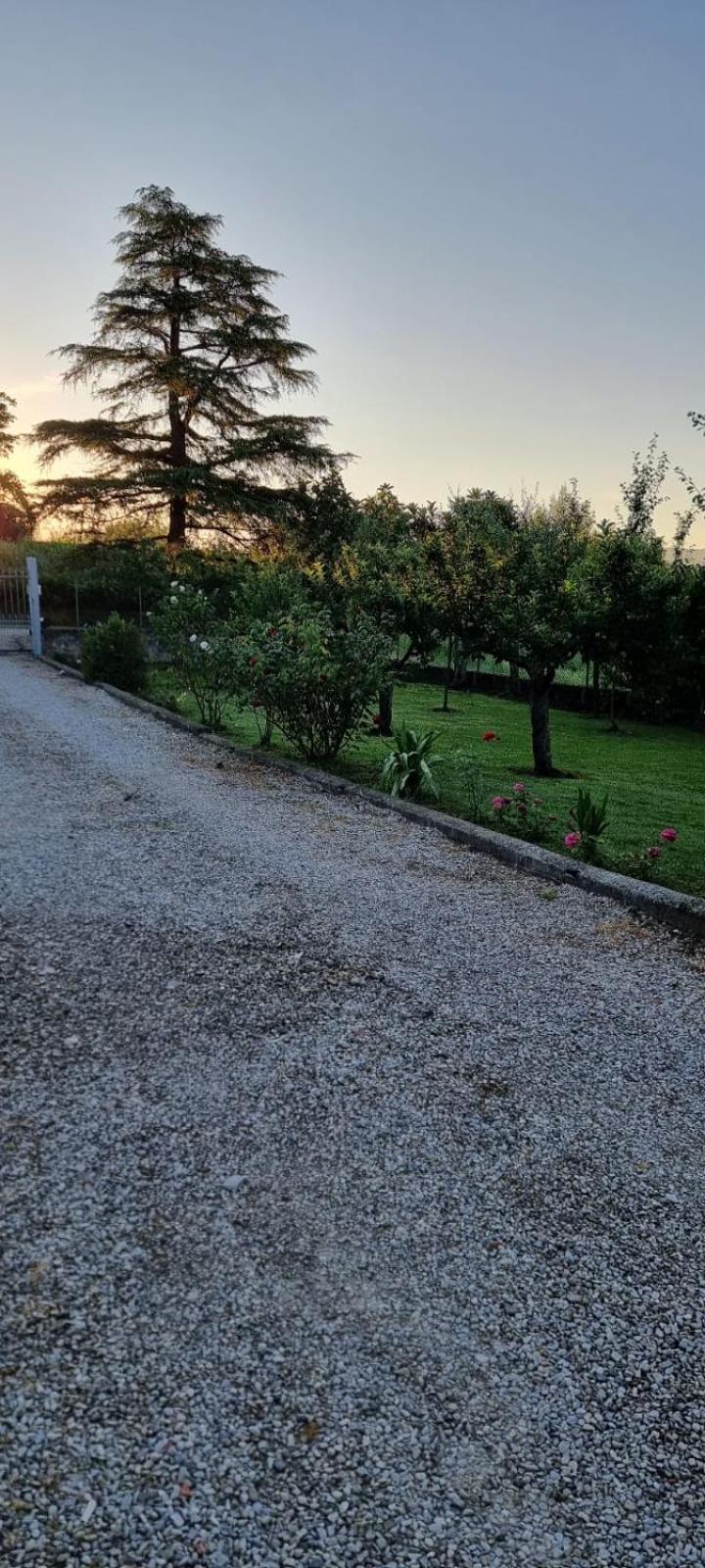 Cortona Vacations - Agriturismo - La capra amaltea - Property Image 41
