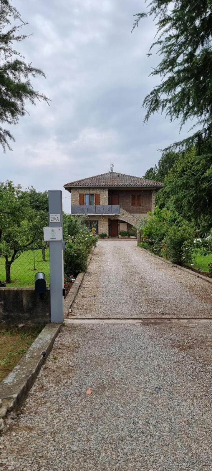 Cortona Vacations - Agriturismo - La capra amaltea - Property Image 11