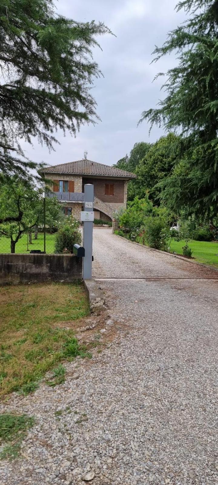 Cortona Vacations - Agriturismo - La capra amaltea - Property Image 12