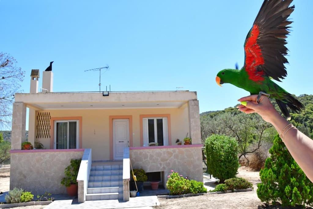 Kathrine's Cottage in Vagia view 3