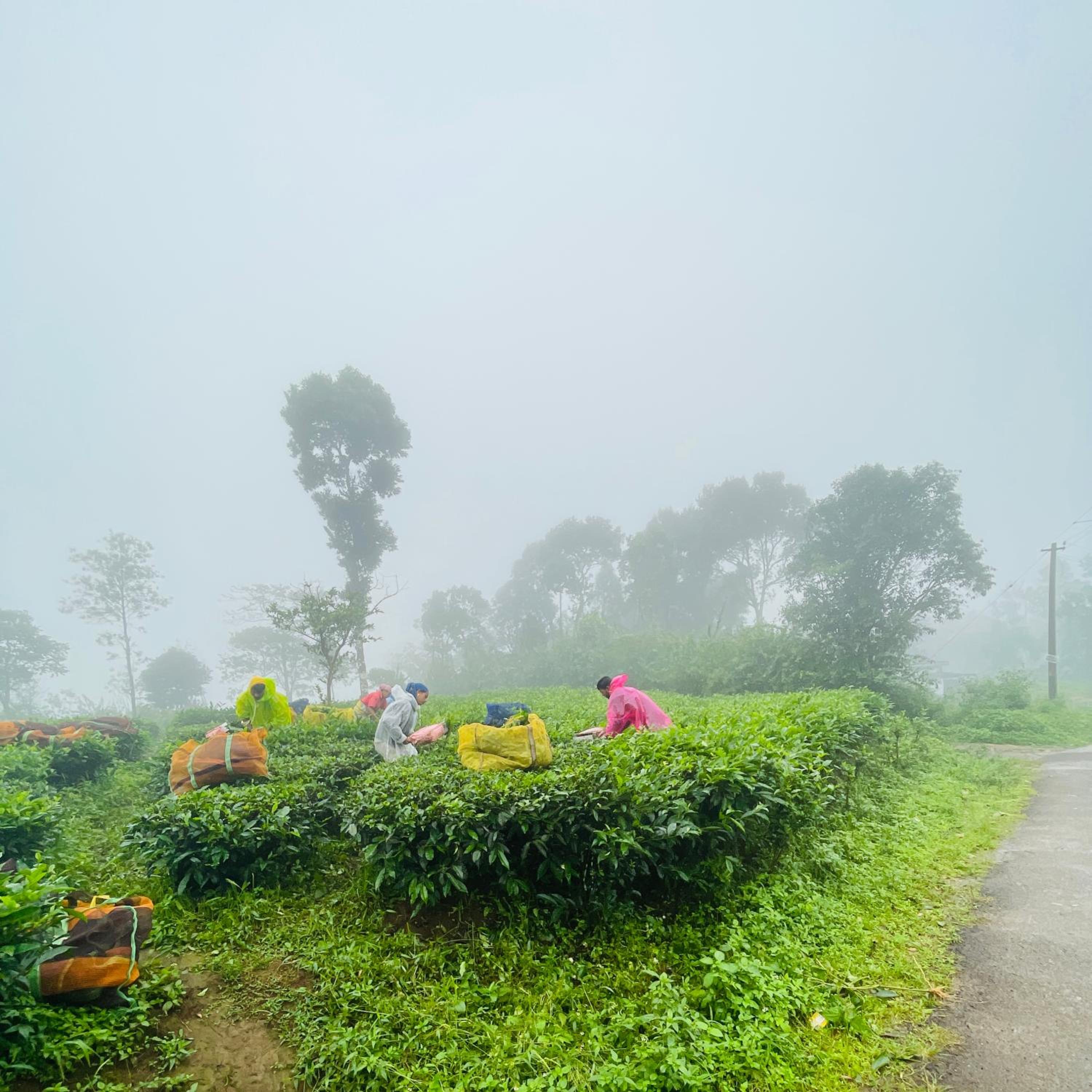 Photo 34