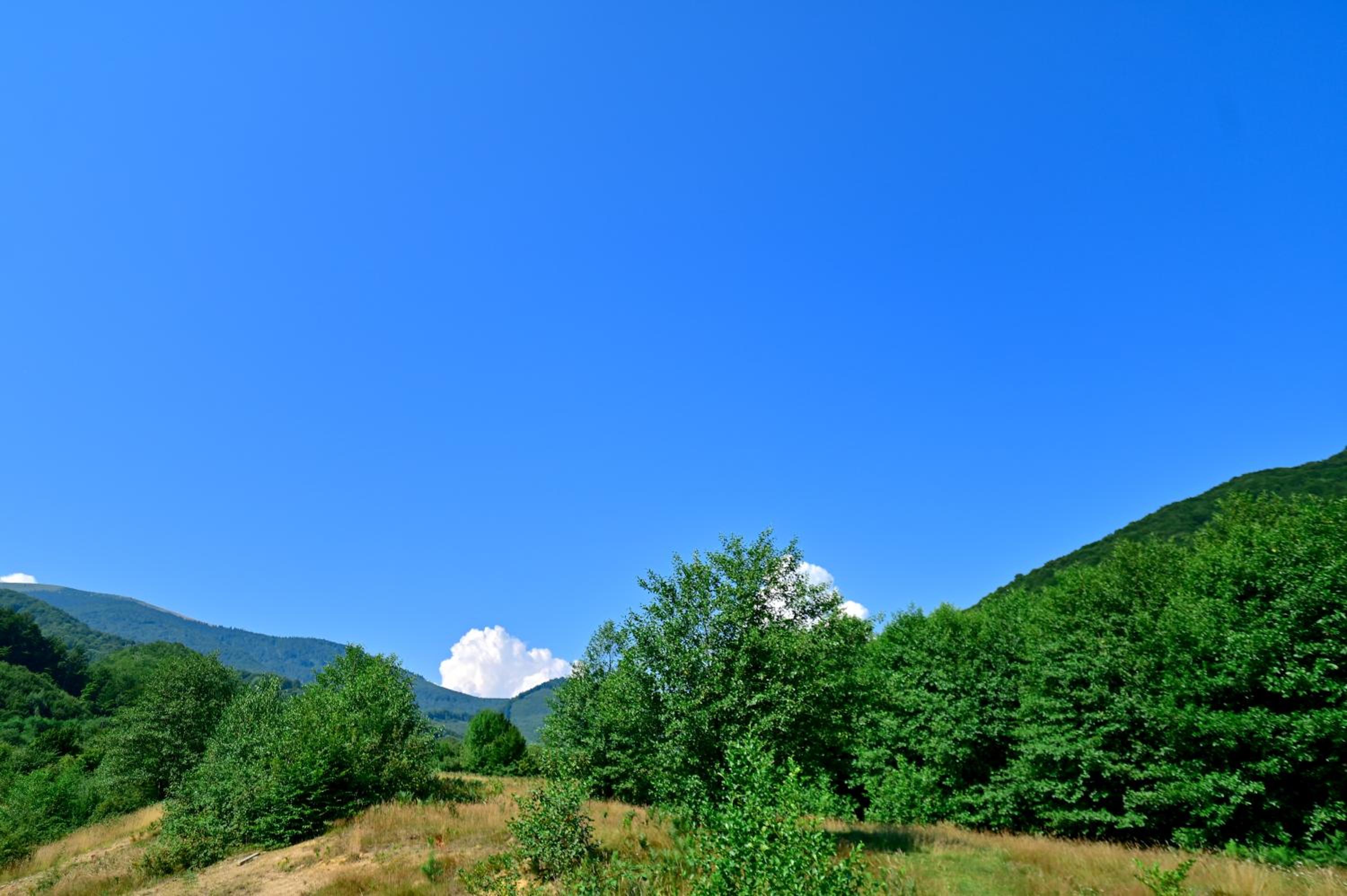 La Izvor Sadu