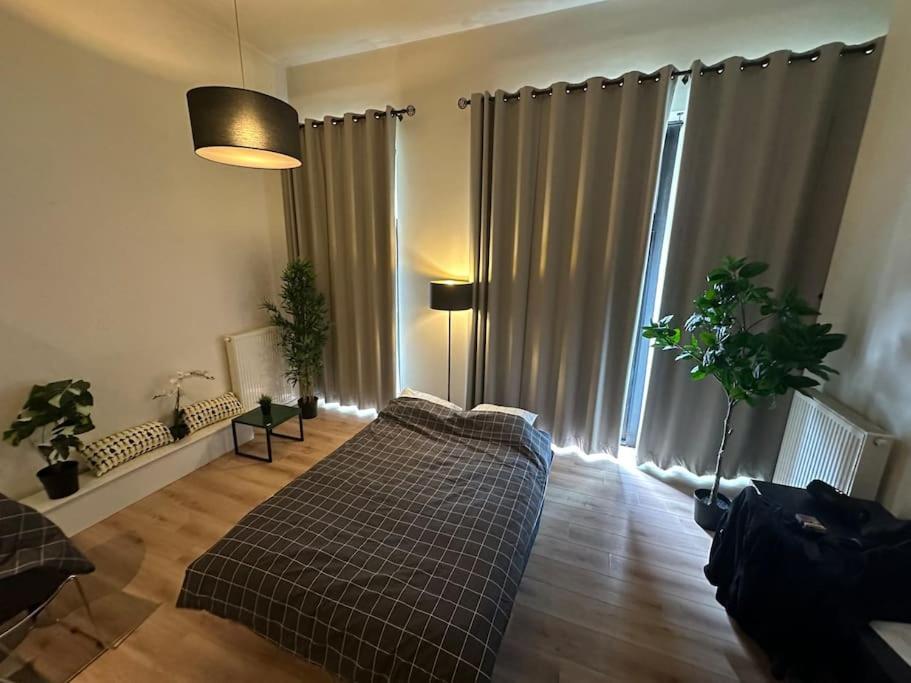 cozy casa d'anvers op een unieke toplocatie