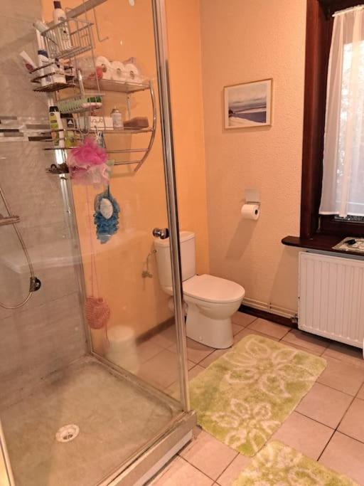 Spacious chalet Nisramont