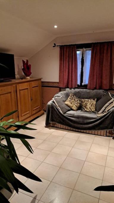 Spacious chalet Nisramont