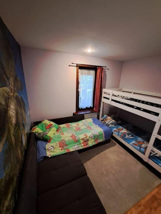 Spacious chalet Nisramont