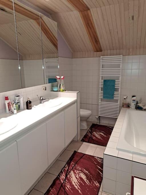 Spacious chalet Nisramont