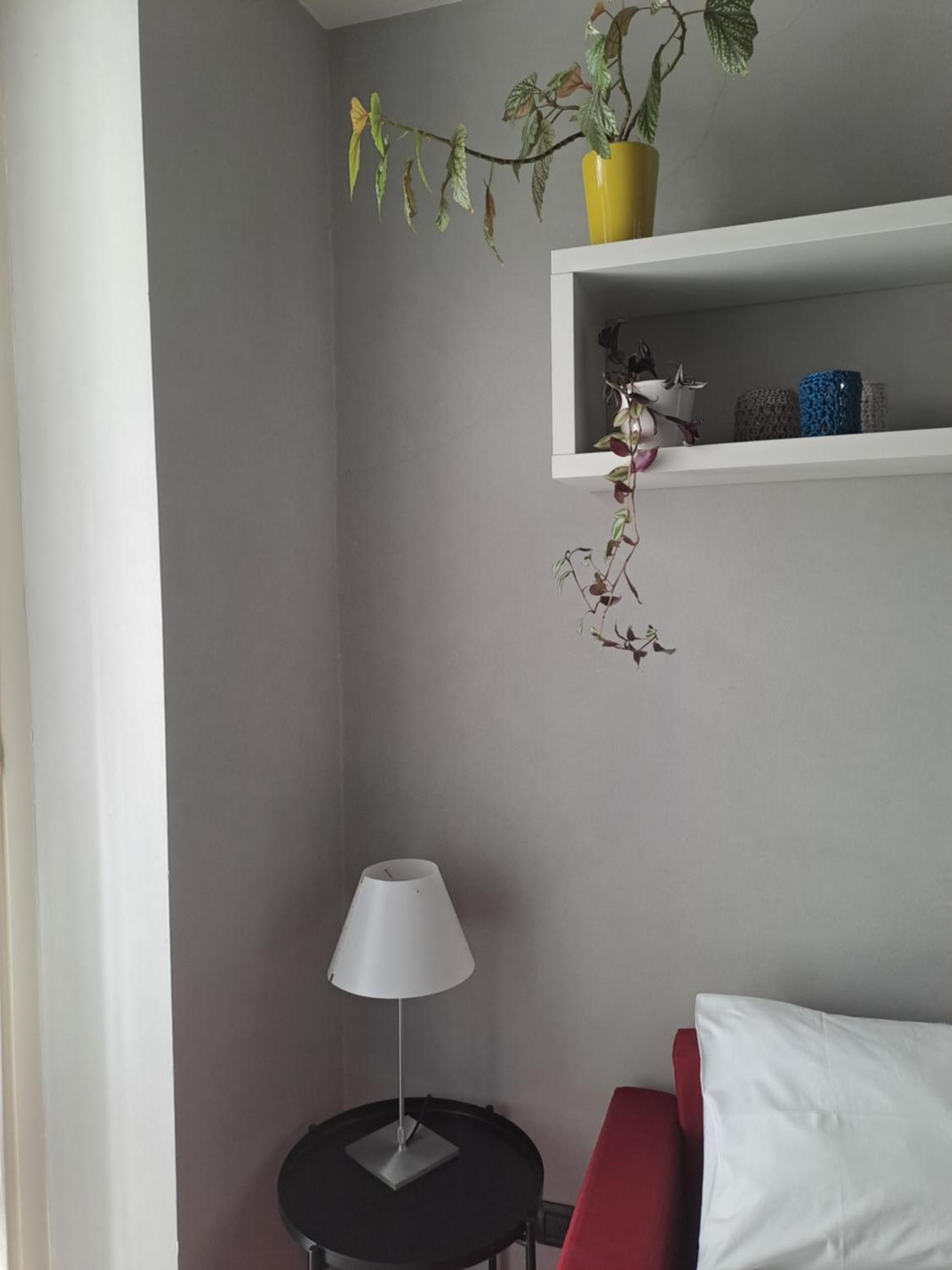 Parma Vacations - Appartamento nel cuore di Parma - Laterale via Farini - Property Image 14