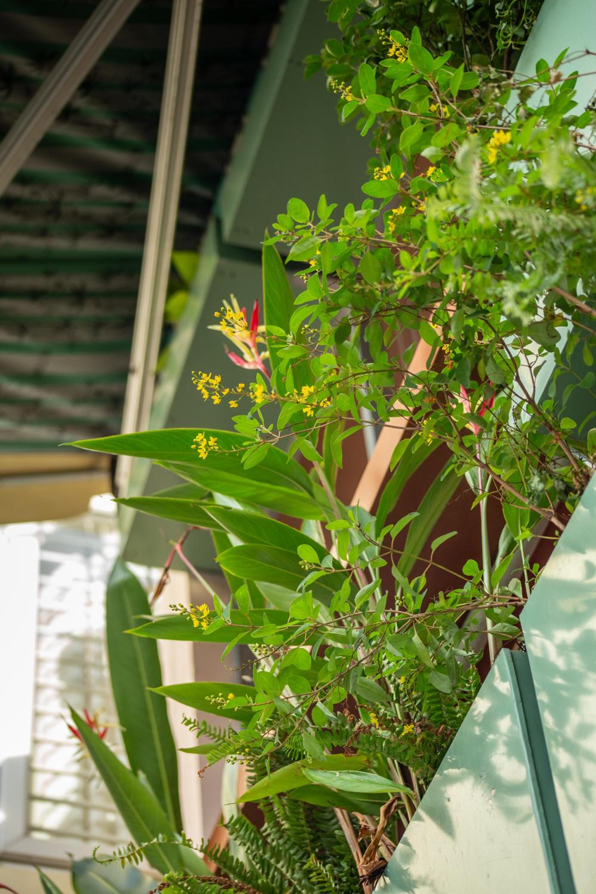Orange home - Ngôi nhà tại quận 3