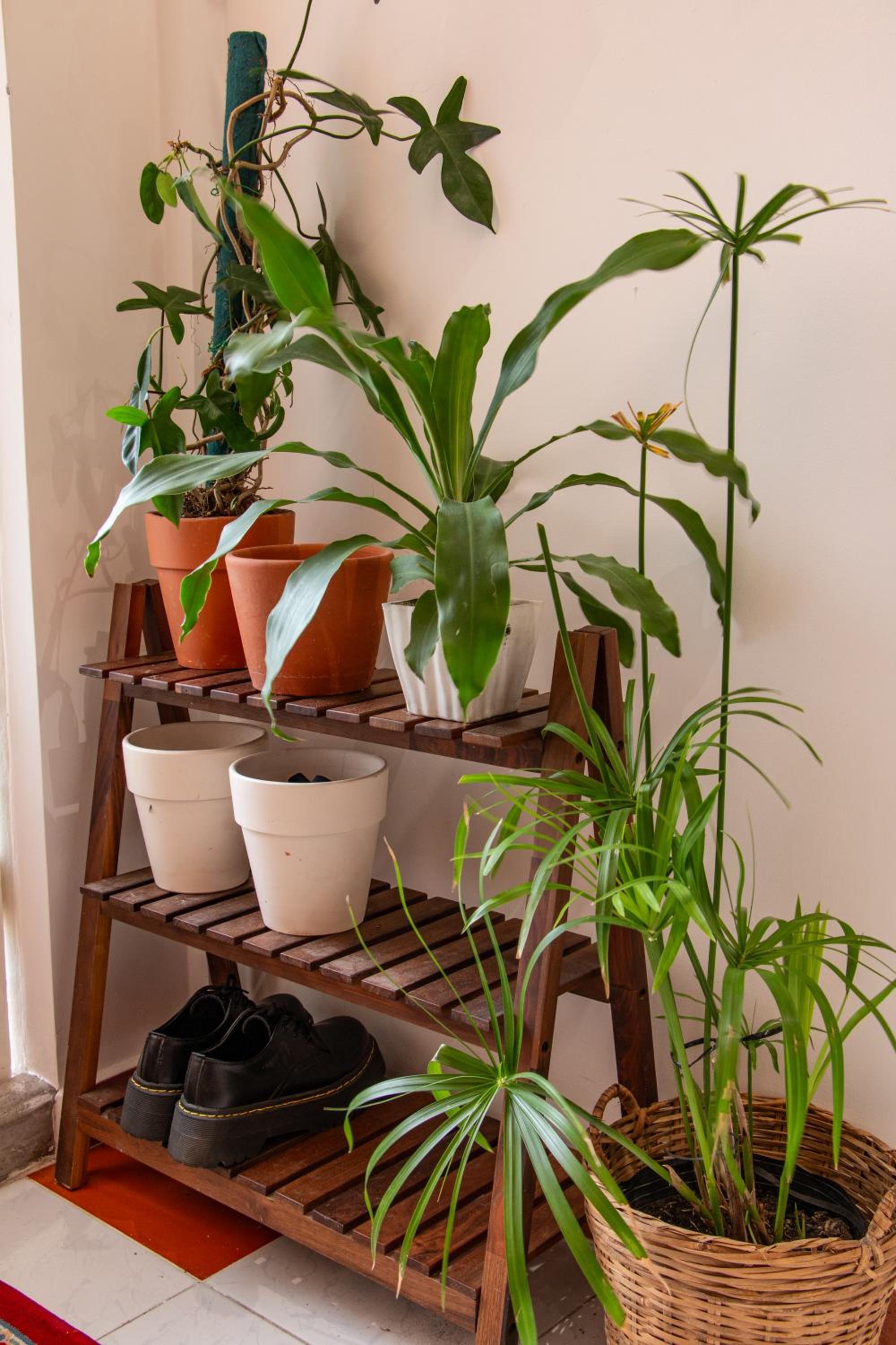 Orange home - Ngôi nhà tại quận 3