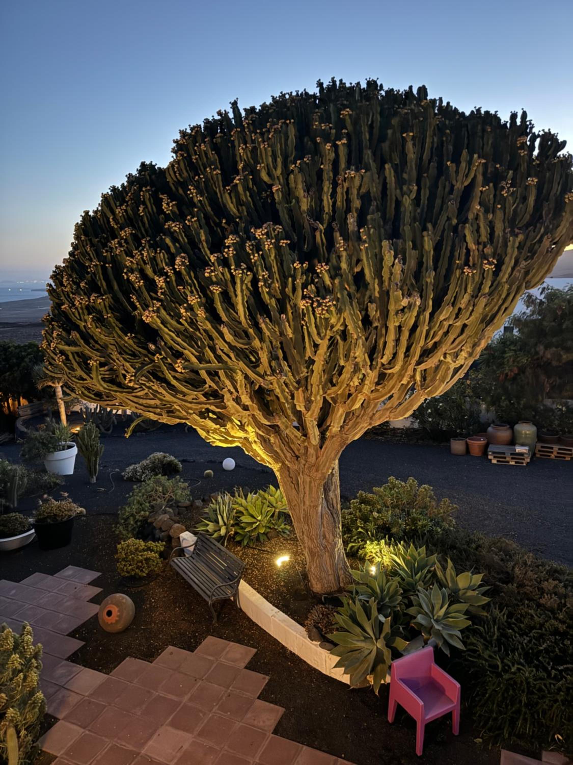 5 Suites Lanzarote en Mácher