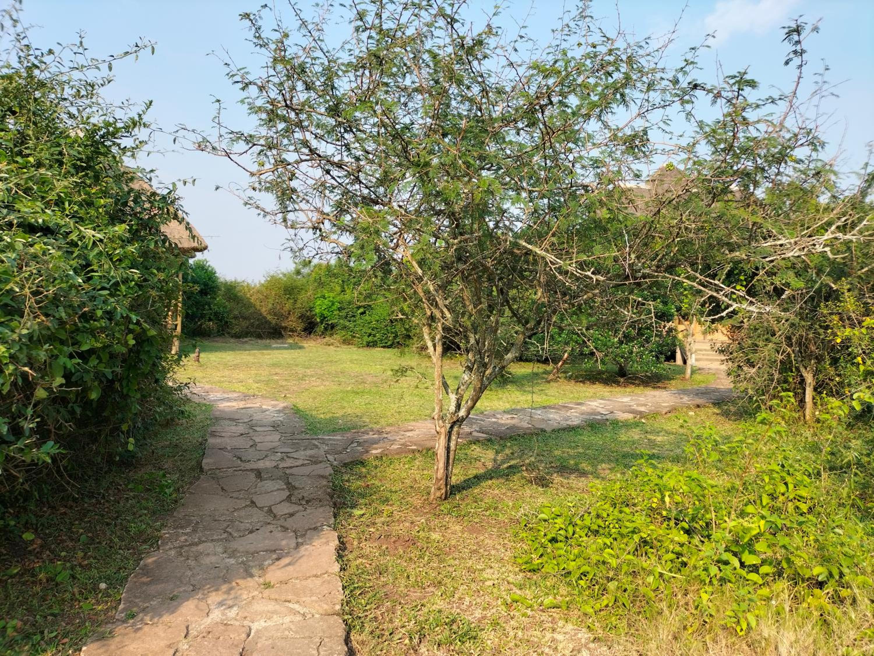 Engiri Game Lodge and Campsite
