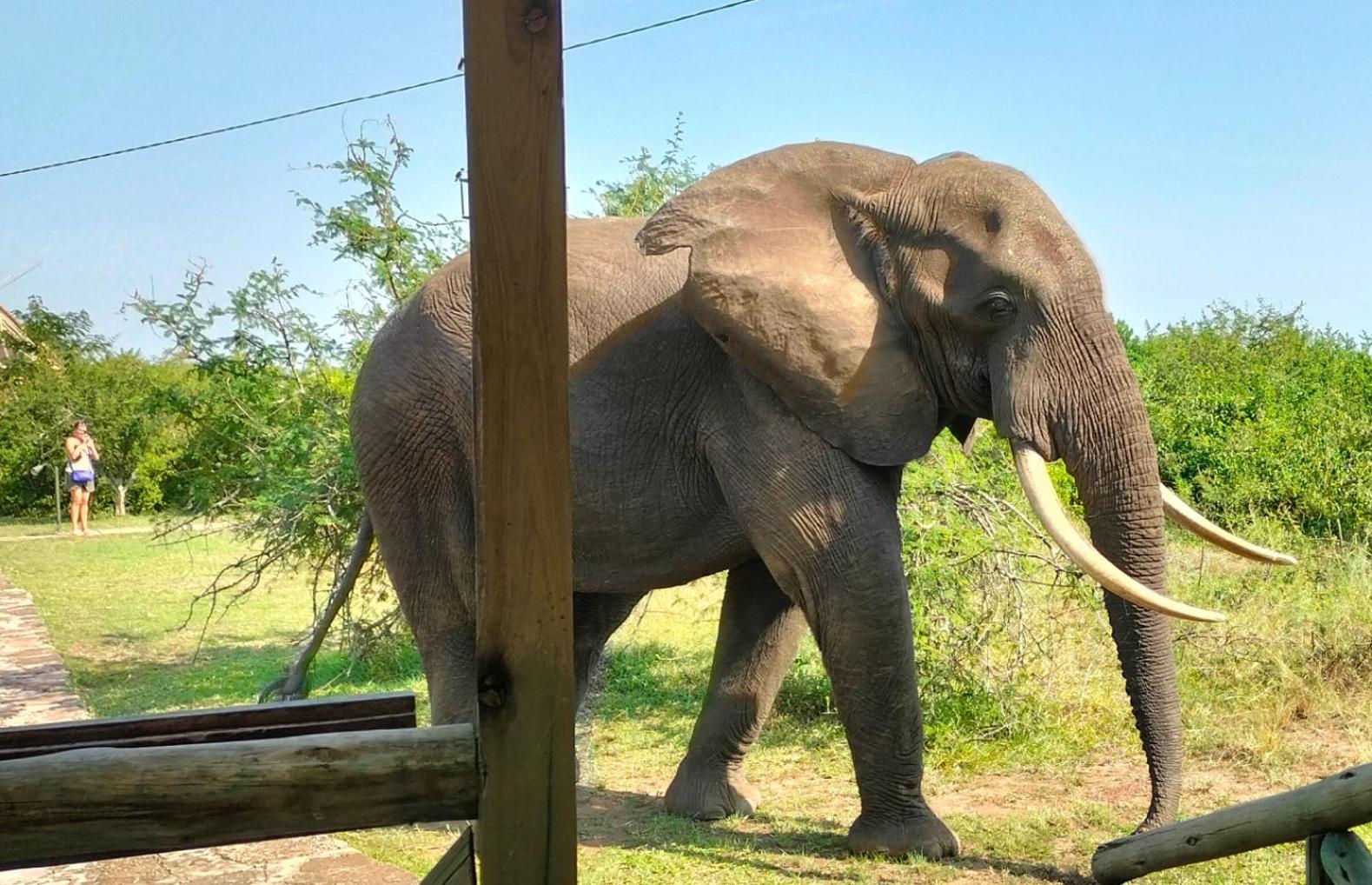 Engiri Game Lodge and Campsite