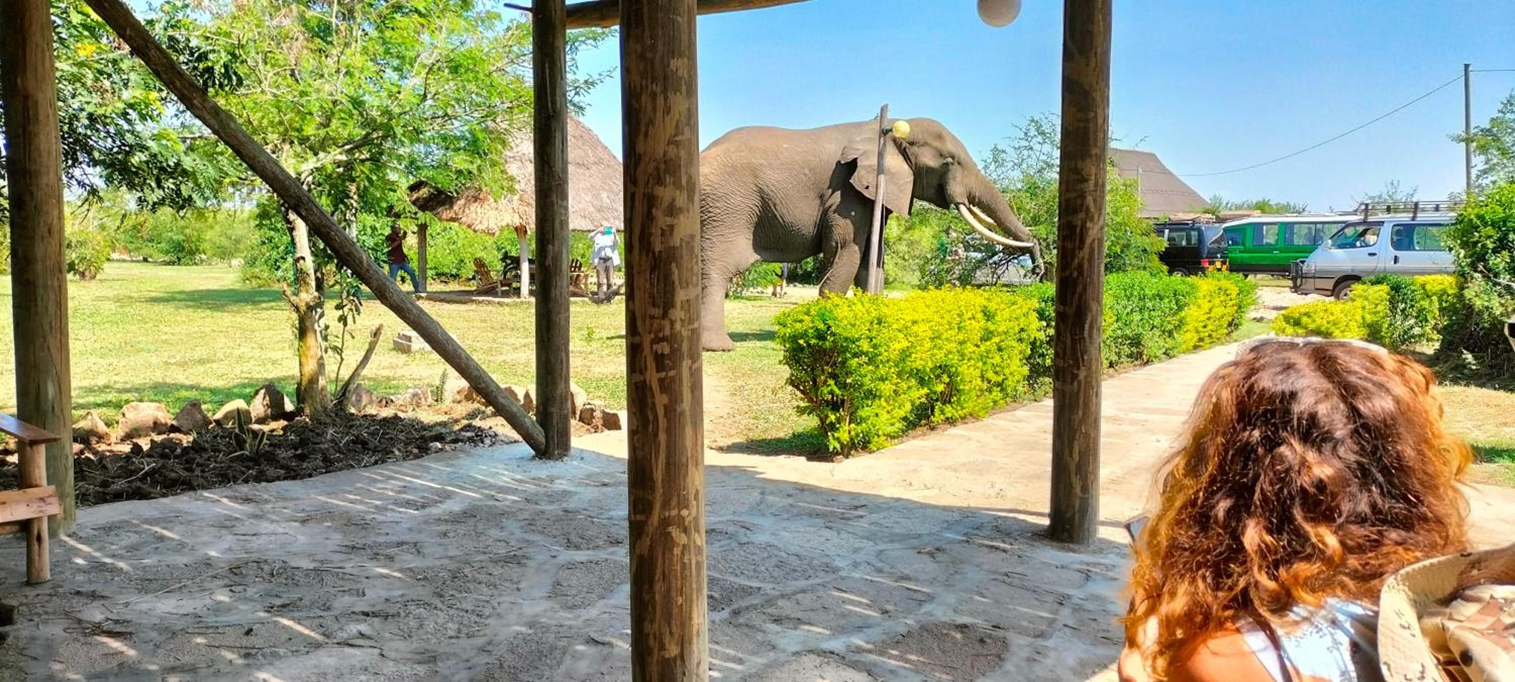 Engiri Game Lodge and Campsite