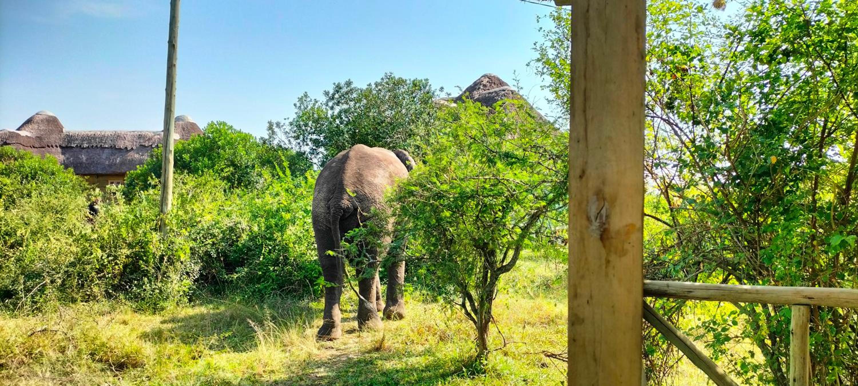 Engiri Game Lodge and Campsite