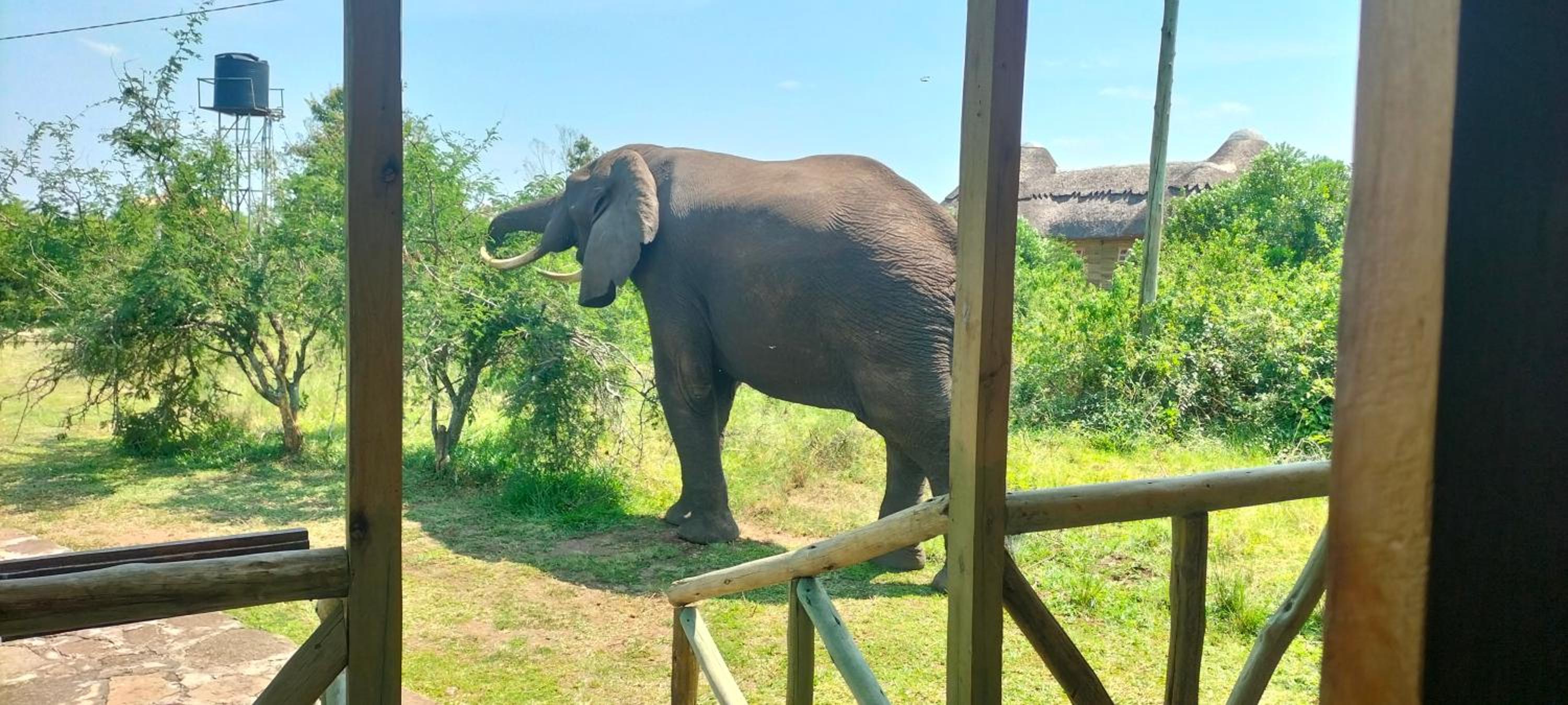 Engiri Game Lodge and Campsite