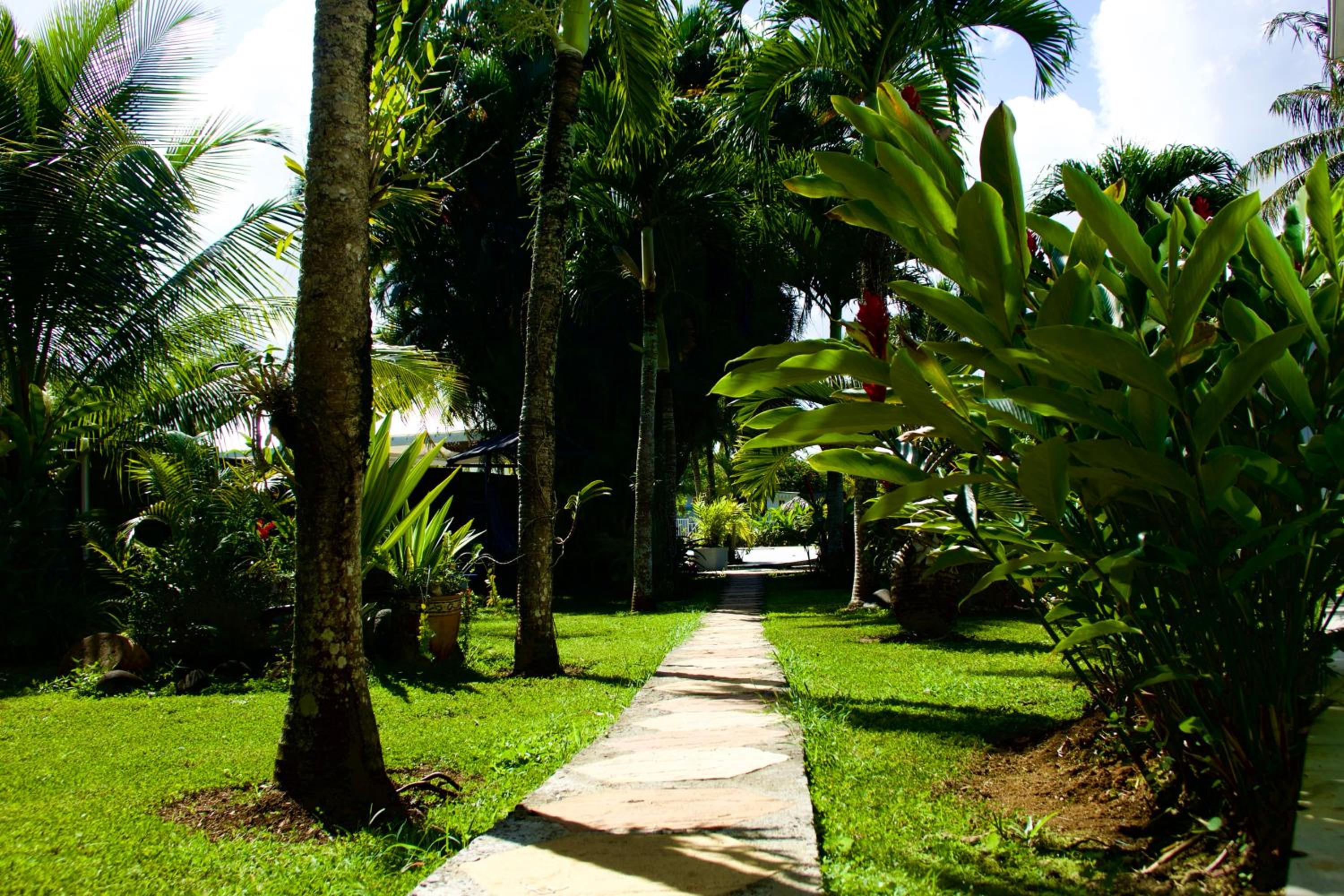Bungalow cosy à Sainte-Rose, piscine et vue sur jardin. view 2