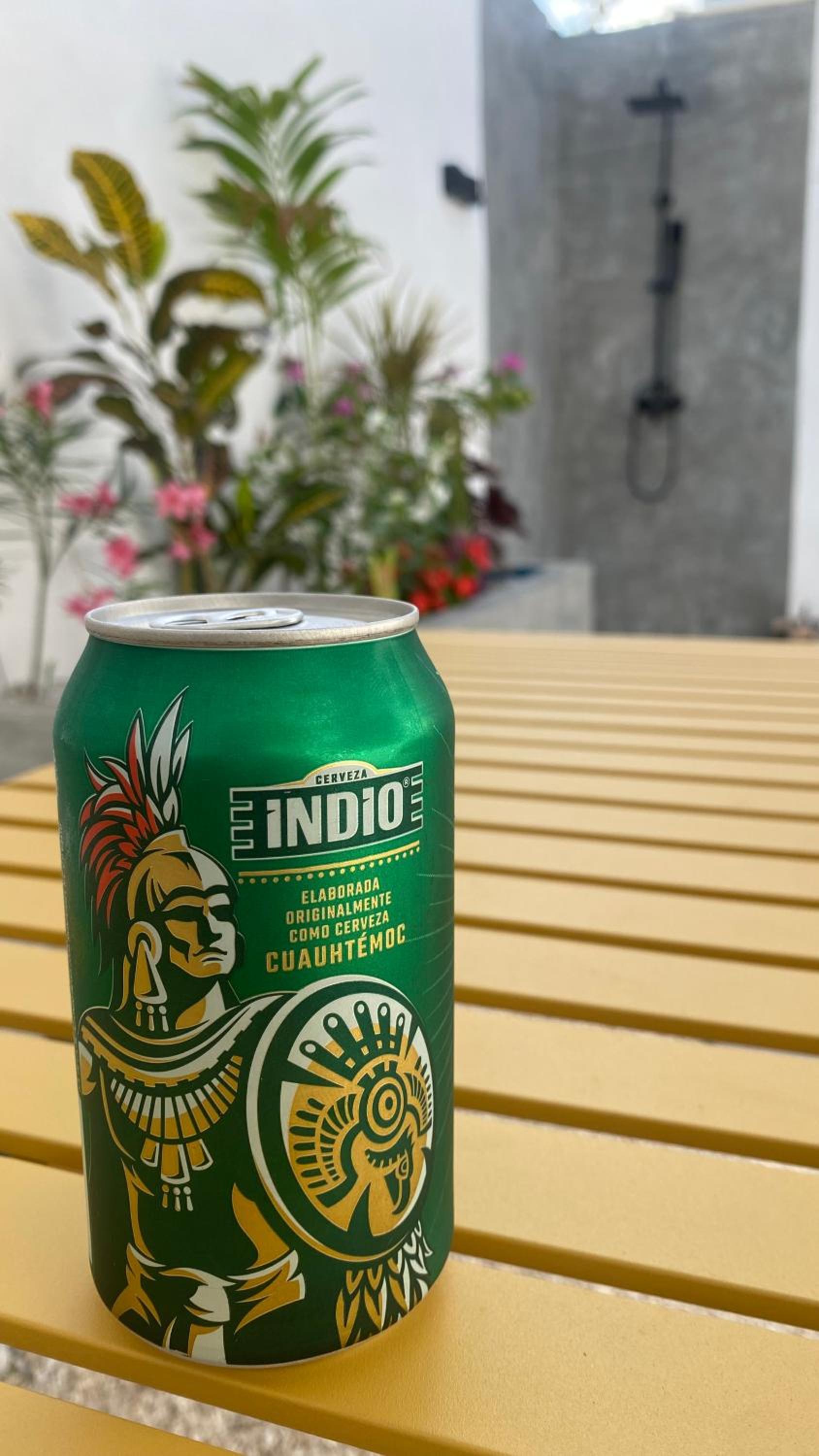 Acogedora y moderna Casa Coatí