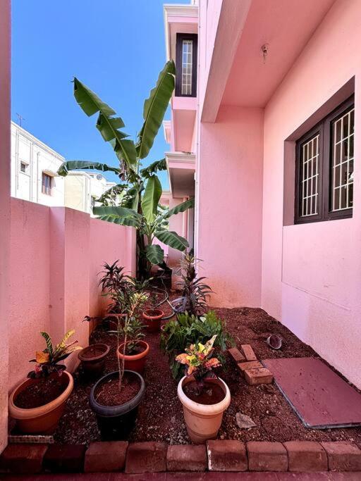 PlushStays Service Apartment