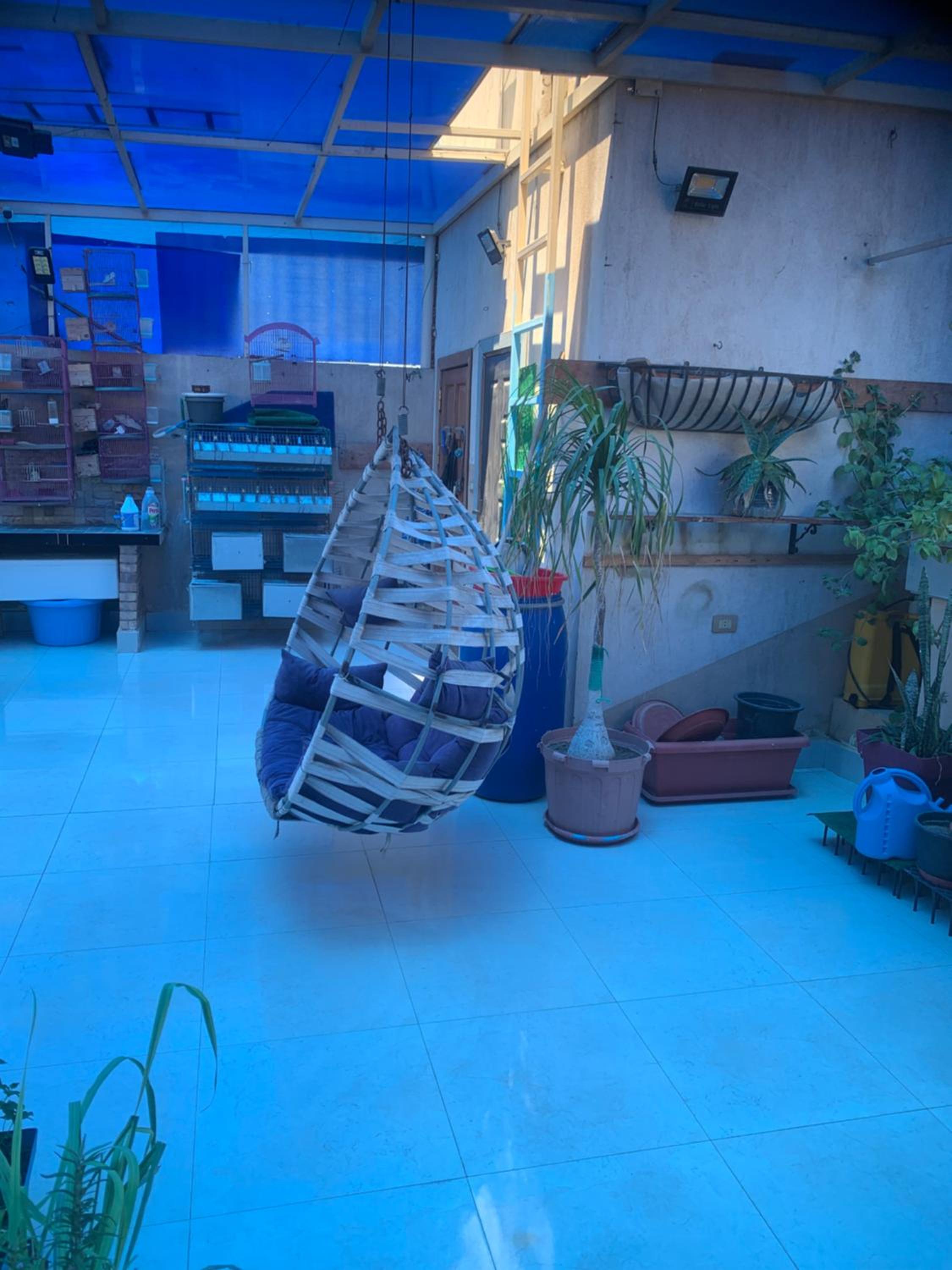 Photo 43