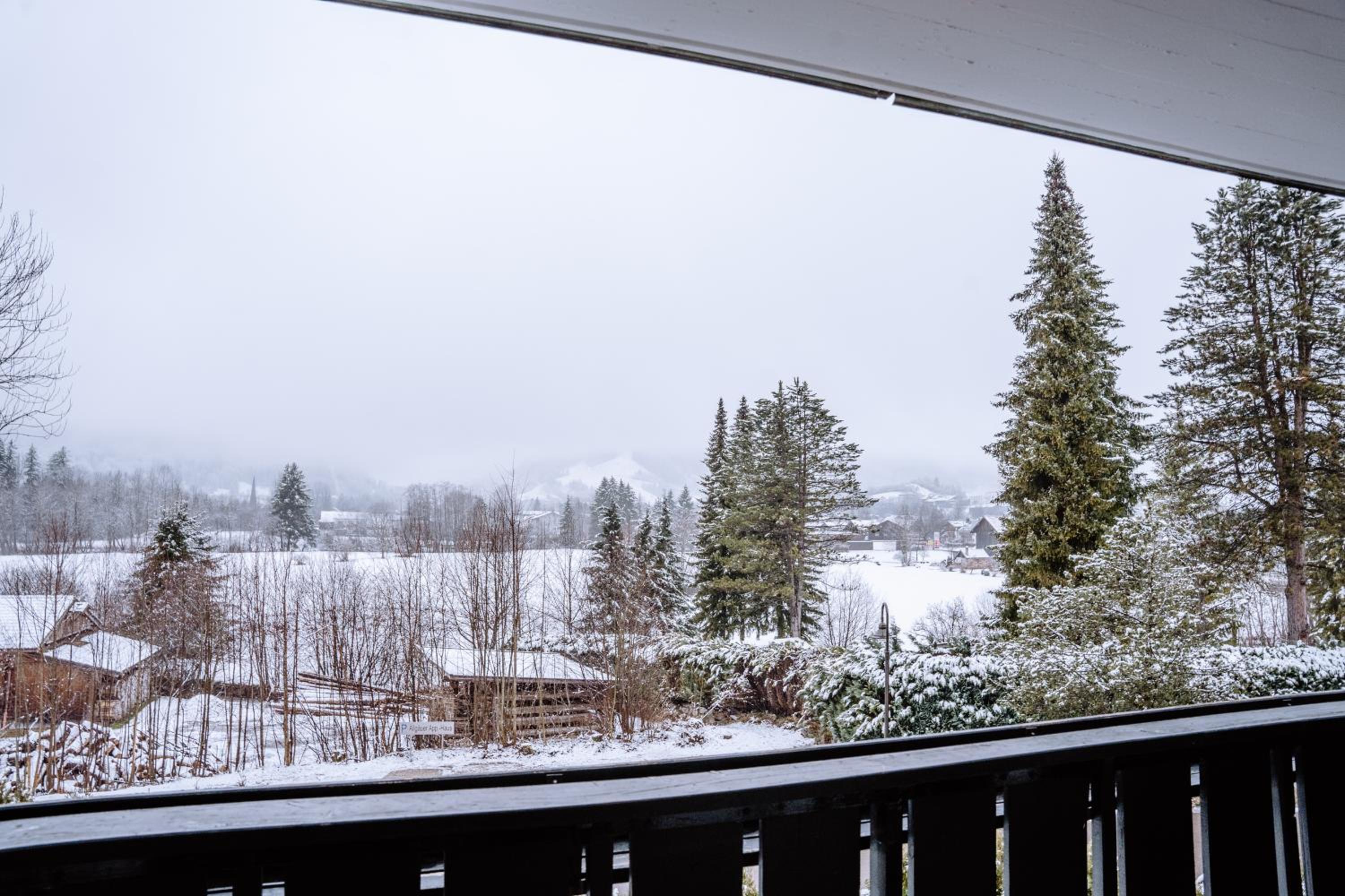 Apartment Alpenblick I WIFI I Sport I Parken view 2