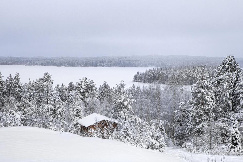 Metsäsydän huonemajoitus