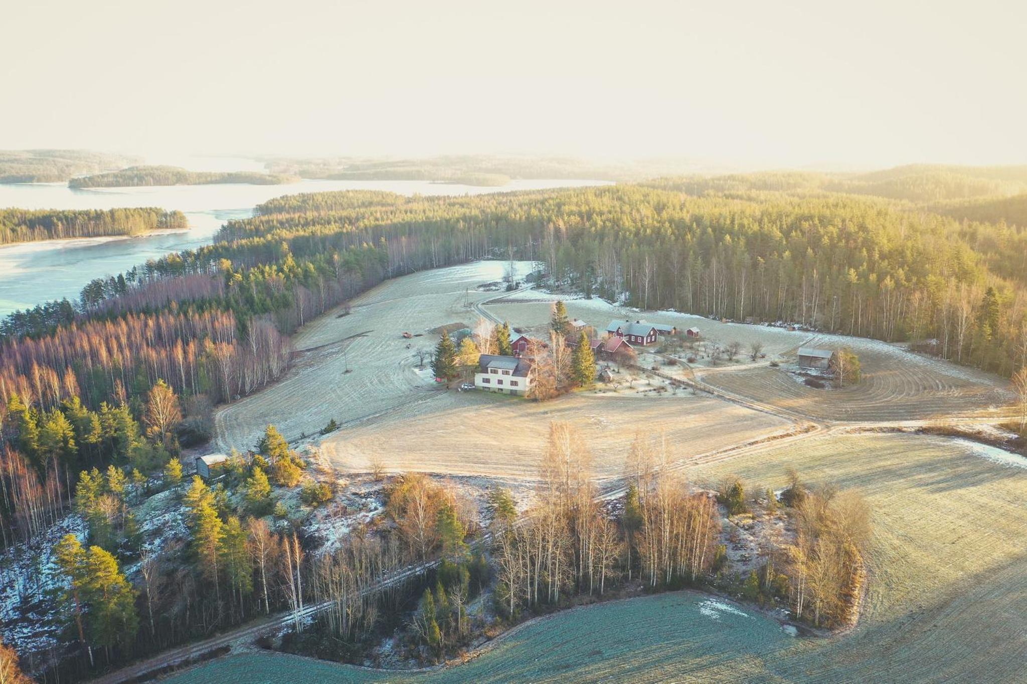 Metsäsydän huonemajoitus