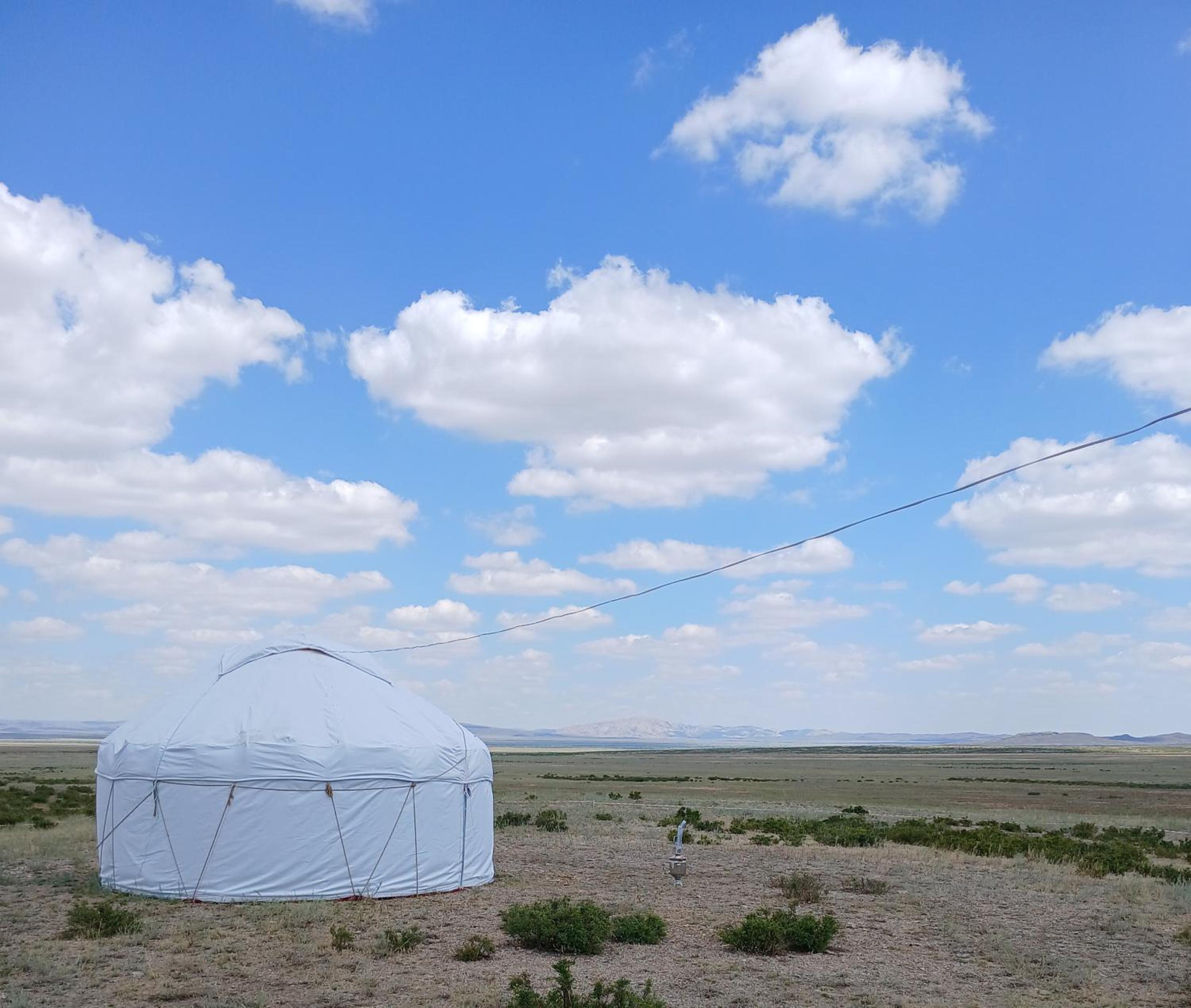 Jorga - Horses of nomads view 5