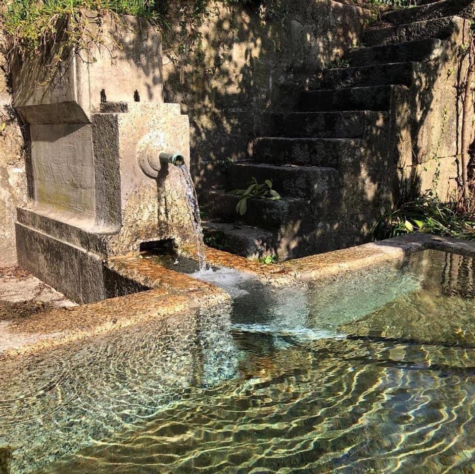 Photo 39