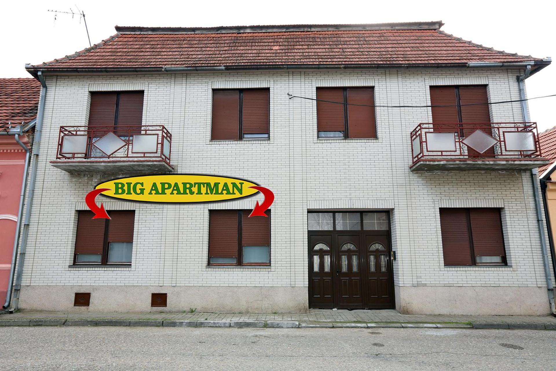 BIG APARTMAN BELA CRKVA view 4