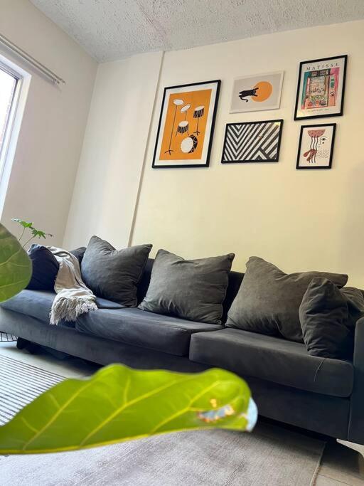 Nayy living spaces
