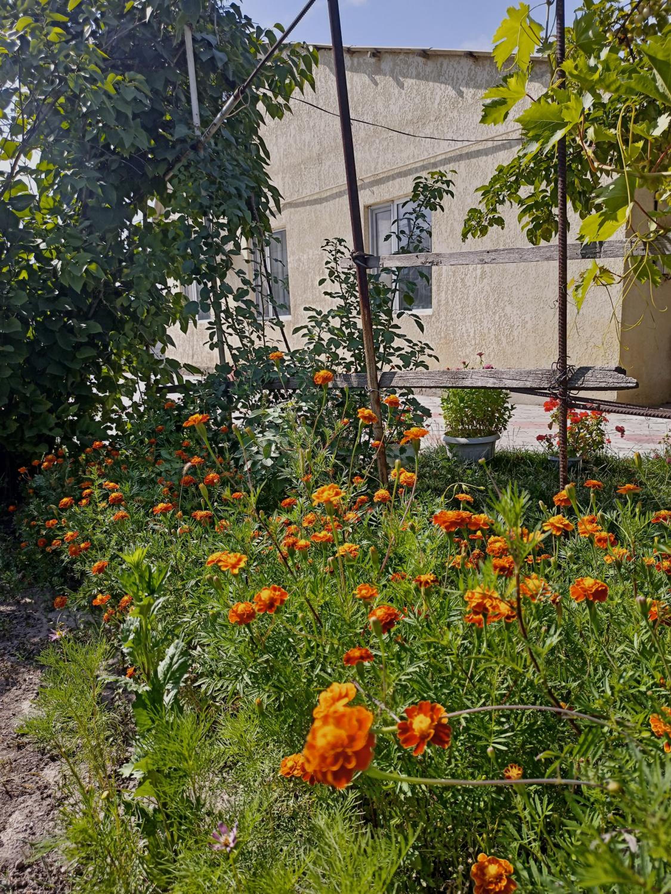 Photo 31