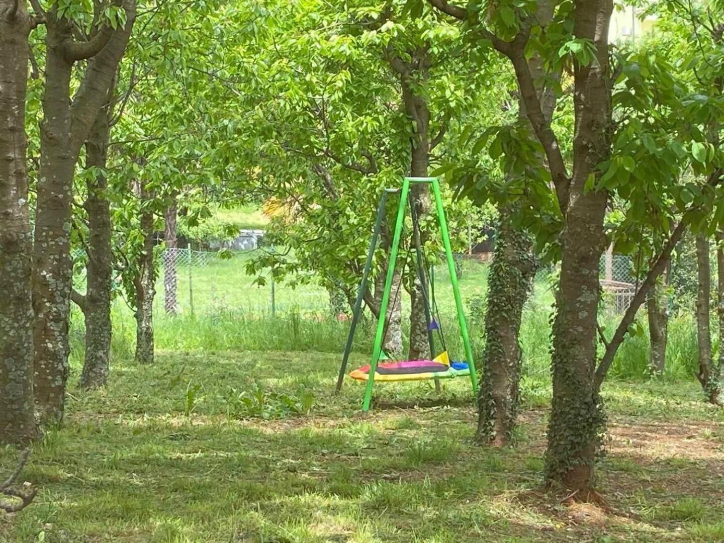 Photo 17