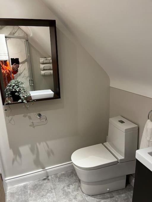 Sarsa Cottage Ballynahinch
