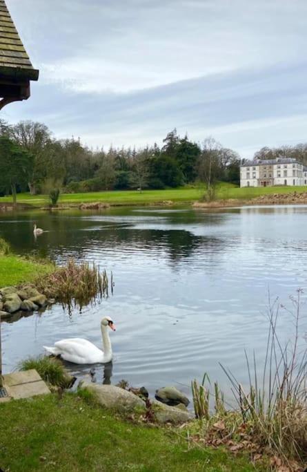 Sarsa Cottage Ballynahinch