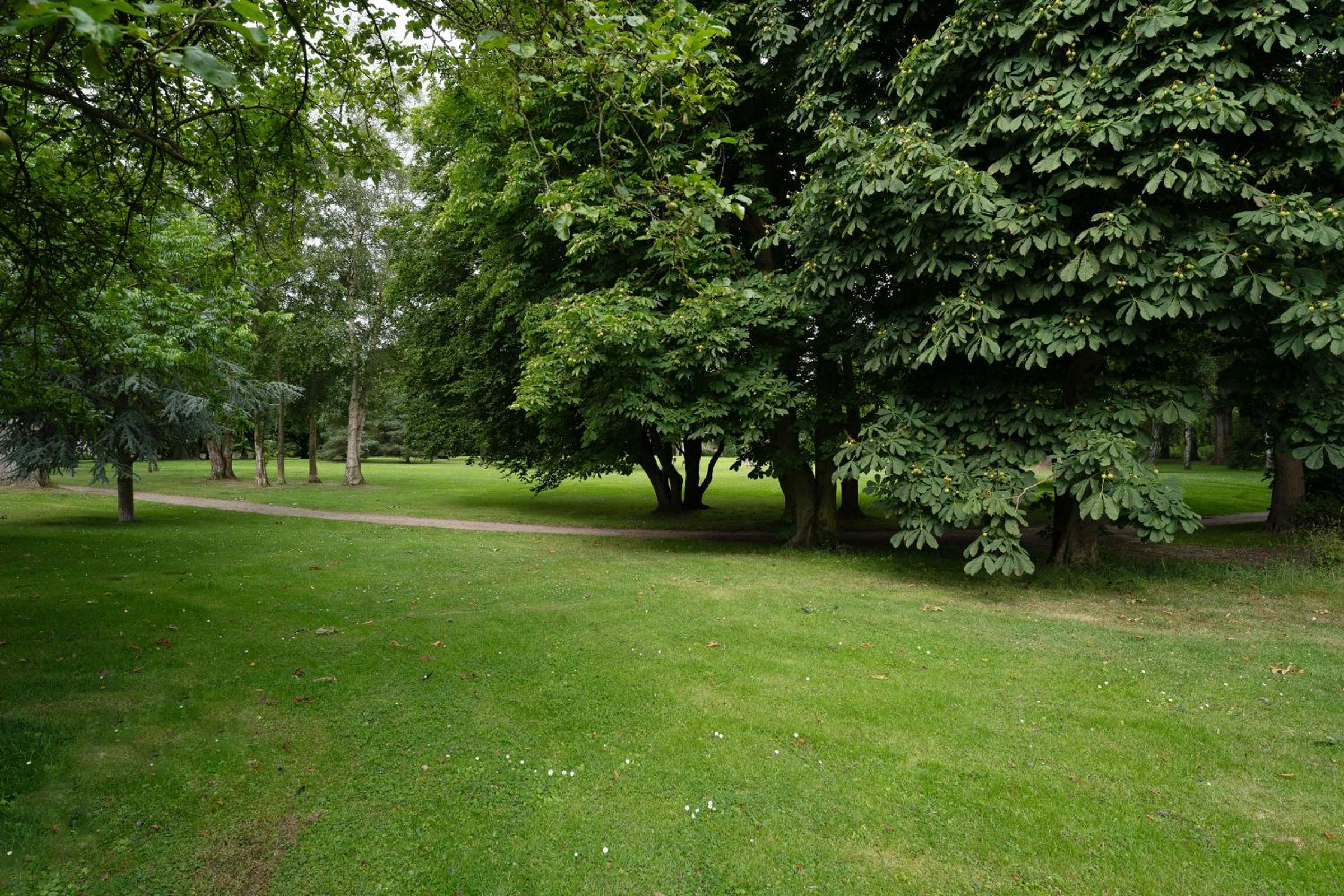 Kurparkresidenz Sandkorn 6